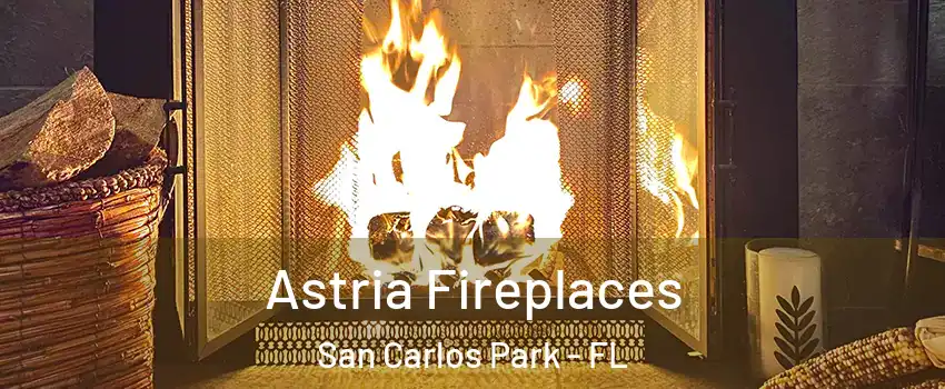 Astria Fireplaces San Carlos Park - FL