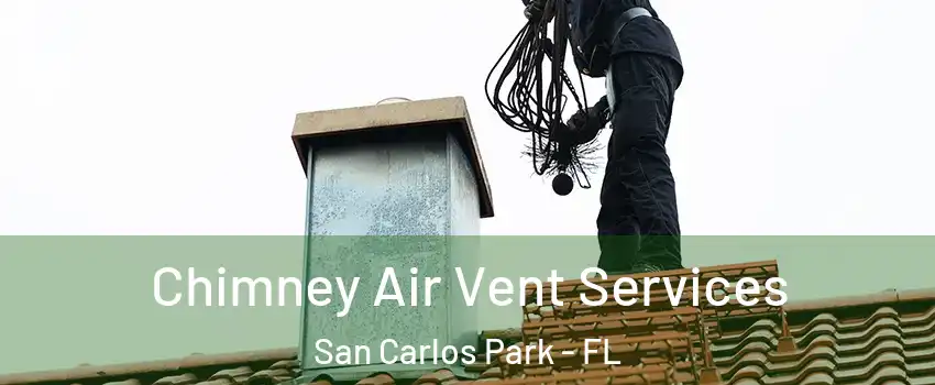 Chimney Air Vent Services San Carlos Park - FL