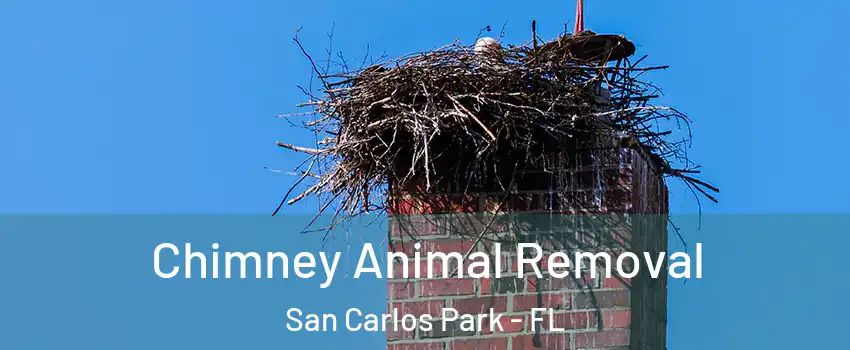 Chimney Animal Removal San Carlos Park - FL