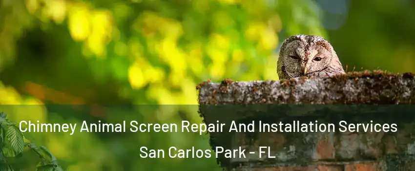 Chimney Animal Screen Repair And Installation Services San Carlos Park - FL