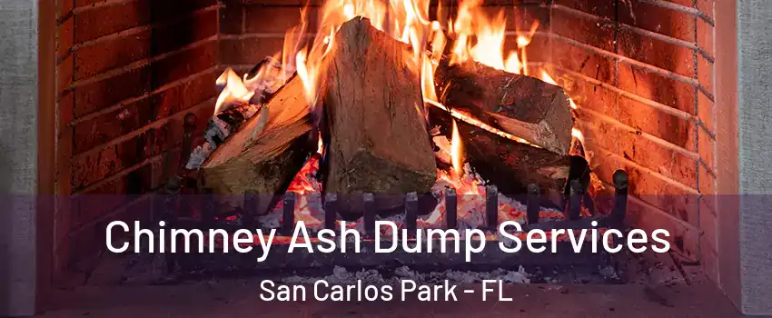 Chimney Ash Dump Services San Carlos Park - FL