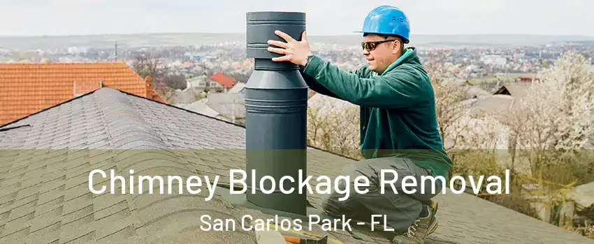 Chimney Blockage Removal San Carlos Park - FL