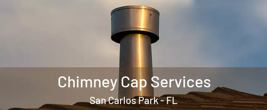 Chimney Cap Services San Carlos Park - FL