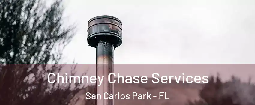 Chimney Chase Services San Carlos Park - FL