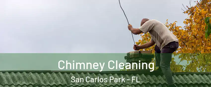 Chimney Cleaning San Carlos Park - FL