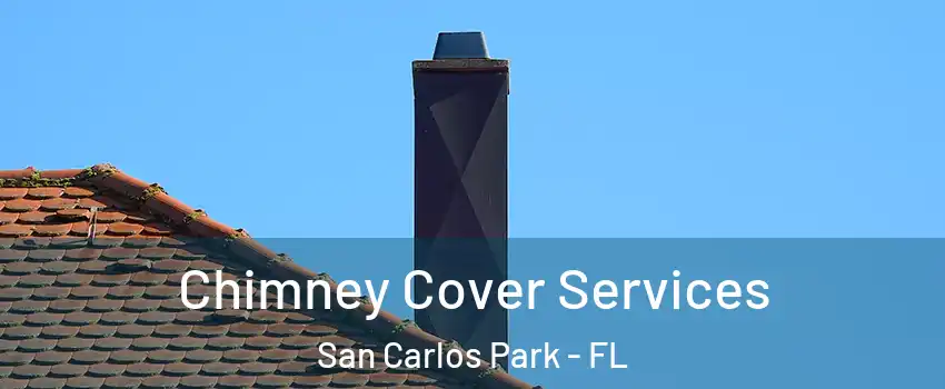 Chimney Cover Services San Carlos Park - FL
