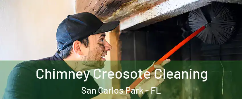 Chimney Creosote Cleaning San Carlos Park - FL