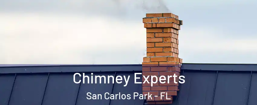 Chimney Experts San Carlos Park - FL