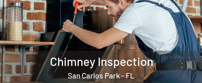  Chimney Inspection San Carlos Park - FL