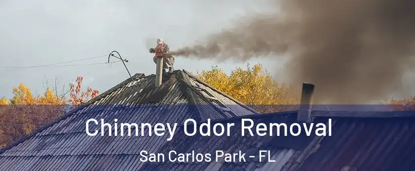 Chimney Odor Removal San Carlos Park - FL