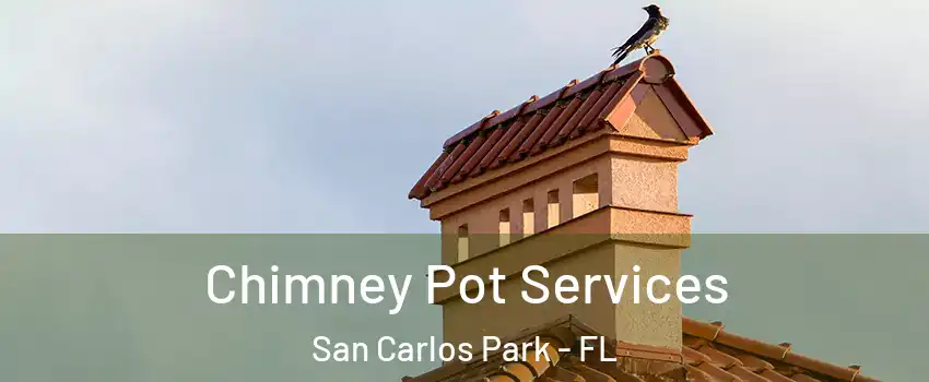Chimney Pot Services San Carlos Park - FL