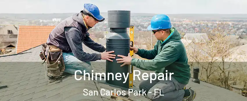 Chimney Repair San Carlos Park - FL