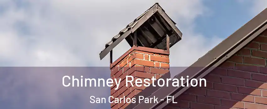 Chimney Restoration San Carlos Park - FL