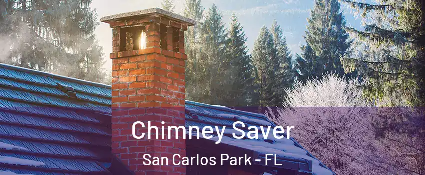Chimney Saver San Carlos Park - FL