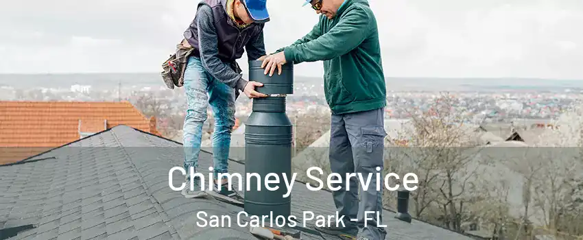 Chimney Service San Carlos Park - FL