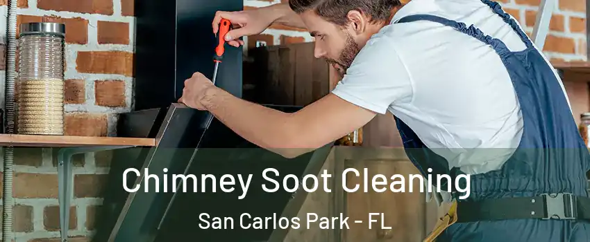 Chimney Soot Cleaning San Carlos Park - FL