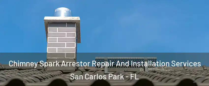 Chimney Spark Arrestor Repair And Installation Services San Carlos Park - FL