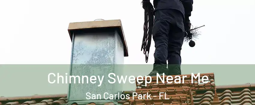 Chimney Sweep Near Me San Carlos Park - FL