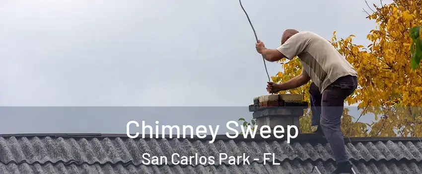 Chimney Sweep San Carlos Park - FL