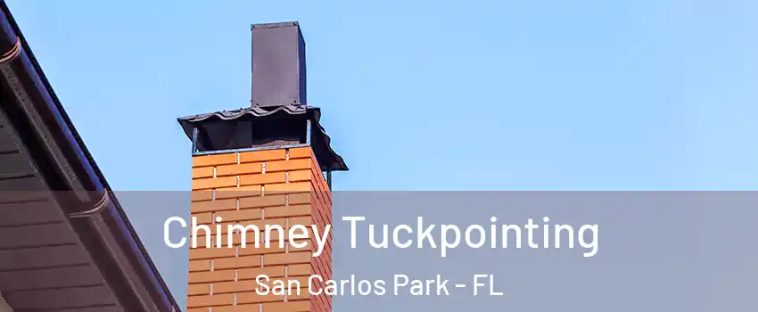 Chimney Tuckpointing San Carlos Park - FL