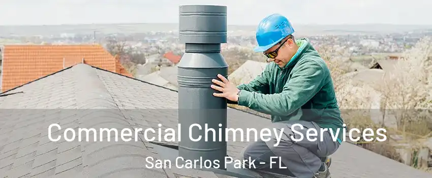 Commercial Chimney Services San Carlos Park - FL