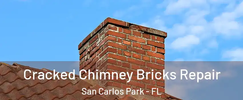 Cracked Chimney Bricks Repair San Carlos Park - FL