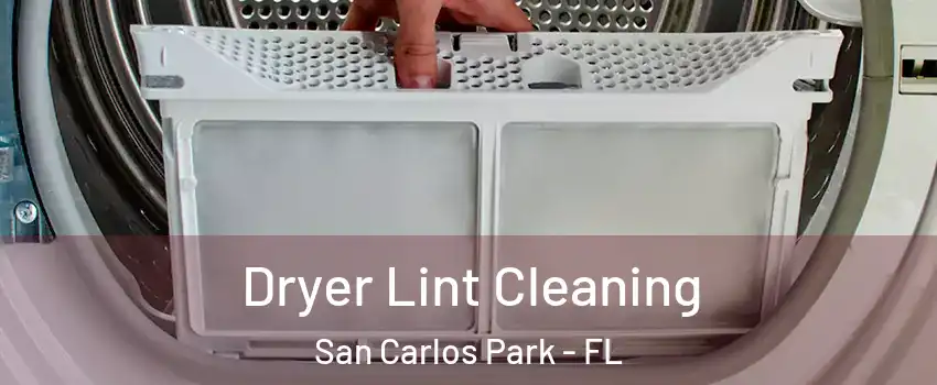  Dryer Lint Cleaning San Carlos Park - FL