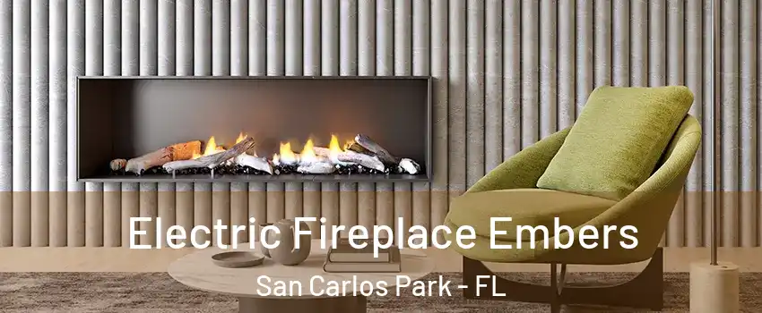 Electric Fireplace Embers San Carlos Park - FL