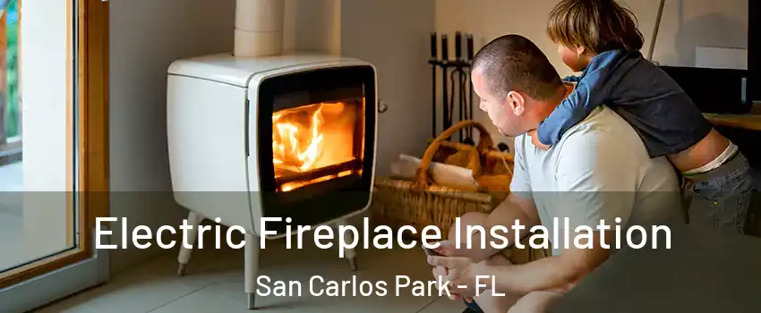  Electric Fireplace Installation San Carlos Park - FL