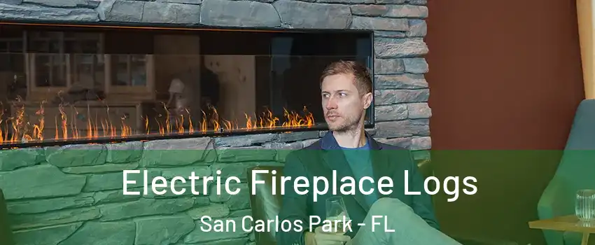  Electric Fireplace Logs San Carlos Park - FL