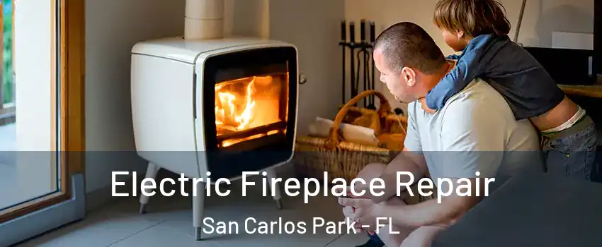 Electric Fireplace Repair San Carlos Park - FL