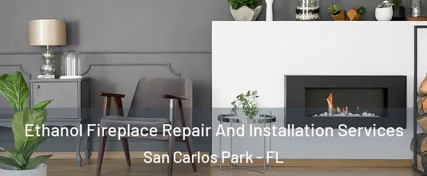 Ethanol Fireplace Repair And Installation Services San Carlos Park - FL