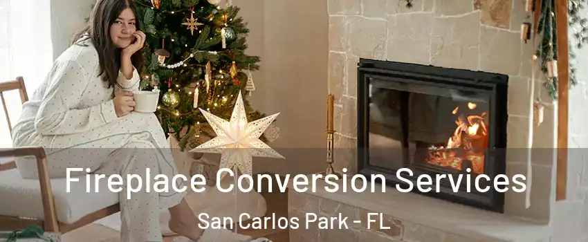  Fireplace Conversion Services San Carlos Park - FL