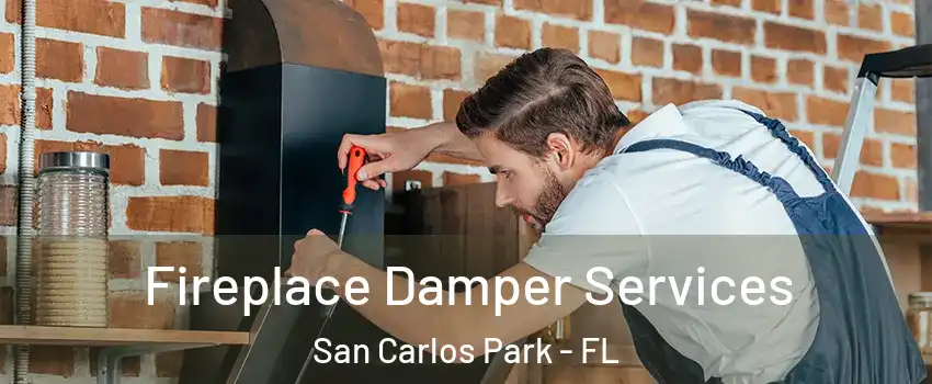  Fireplace Damper Services San Carlos Park - FL