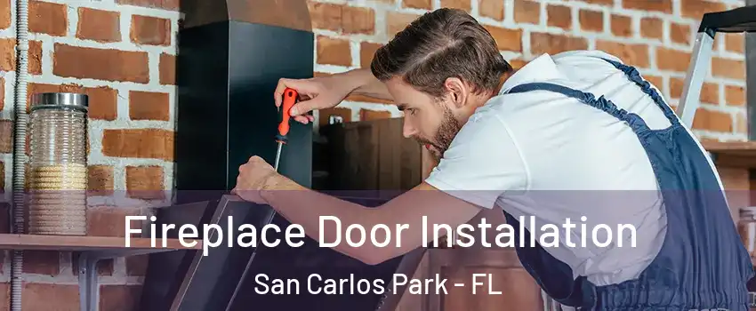 Fireplace Door Installation San Carlos Park - FL