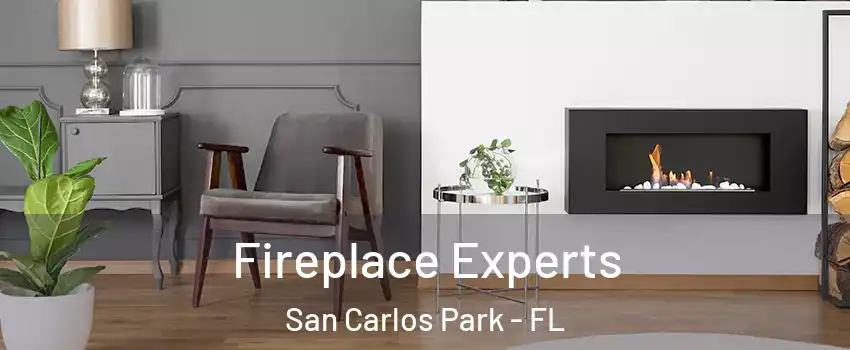 Fireplace Experts San Carlos Park - FL