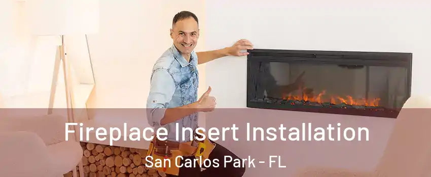  Fireplace Insert Installation San Carlos Park - FL