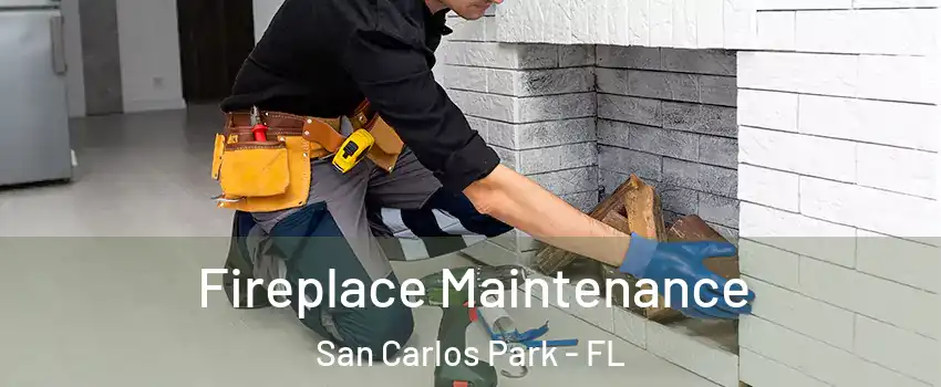 Fireplace Maintenance San Carlos Park - FL