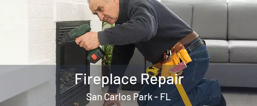  Fireplace Repair San Carlos Park - FL