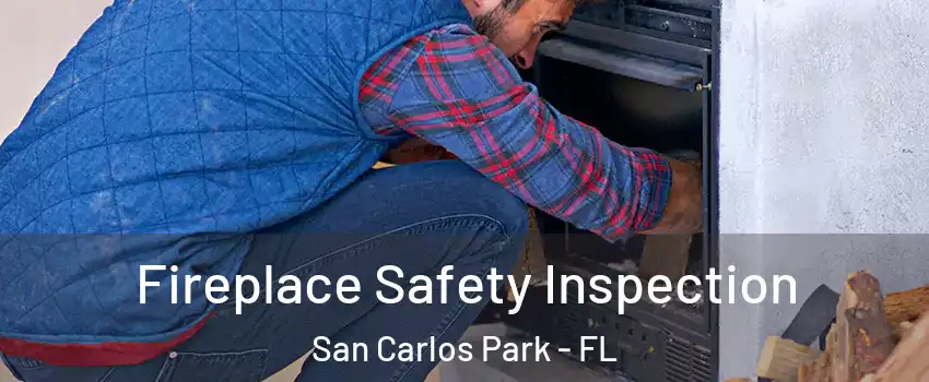  Fireplace Safety Inspection San Carlos Park - FL