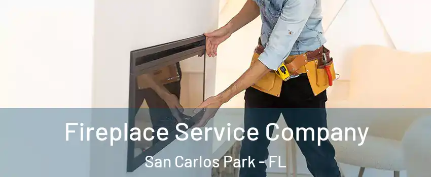 Fireplace Service Company San Carlos Park - FL