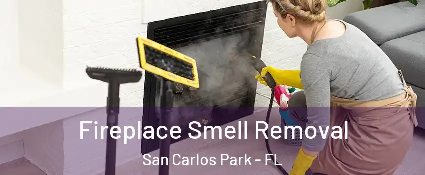 Fireplace Smell Removal San Carlos Park - FL