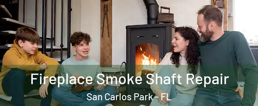Fireplace Smoke Shaft Repair San Carlos Park - FL