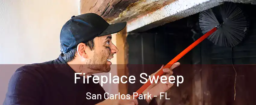  Fireplace Sweep San Carlos Park - FL