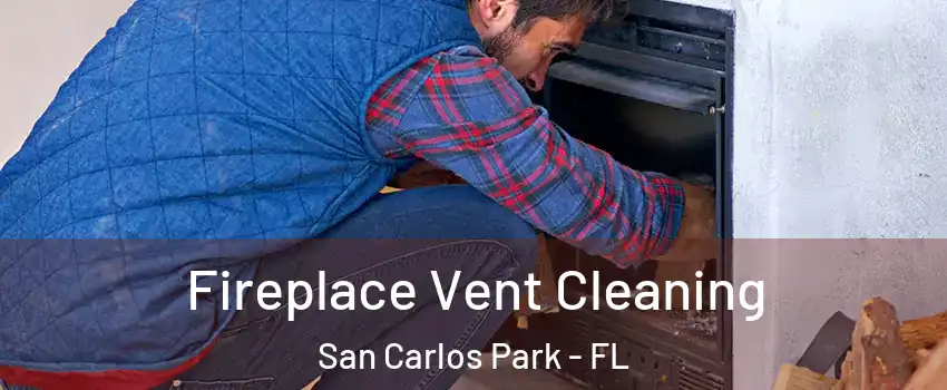 Fireplace Vent Cleaning San Carlos Park - FL