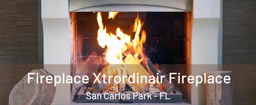  Fireplace Xtrordinair Fireplace San Carlos Park - FL
