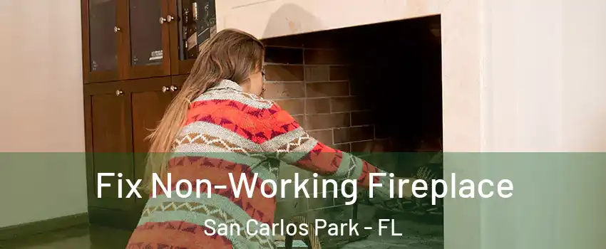  Fix Non-Working Fireplace San Carlos Park - FL