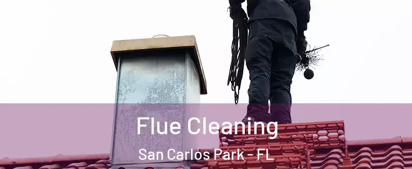 Flue Cleaning San Carlos Park - FL