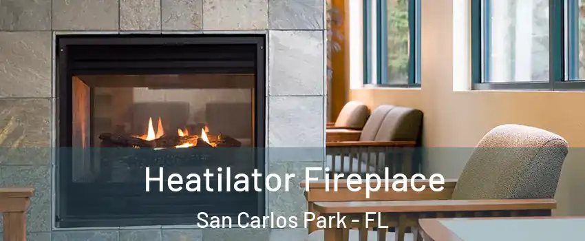 Heatilator Fireplace San Carlos Park - FL