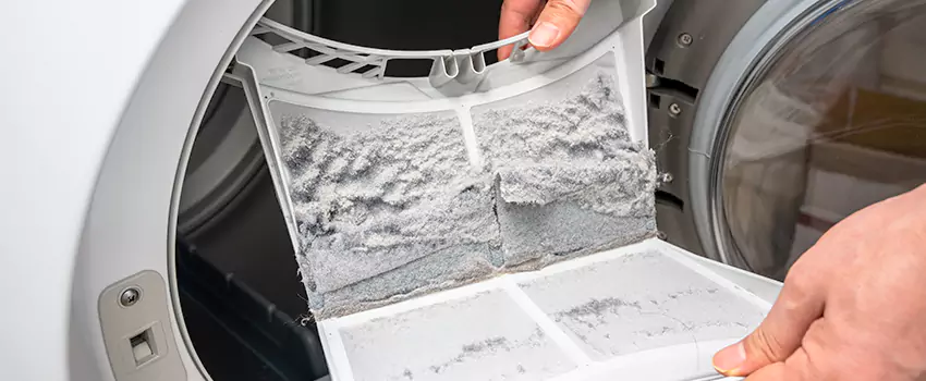 Best Dryer Lint Removal Company in San Carlos Park, Florida